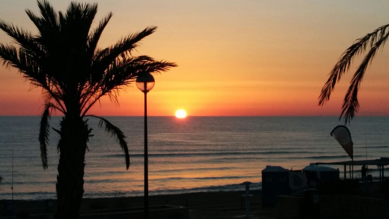 Photo of Outdoor in Oliva