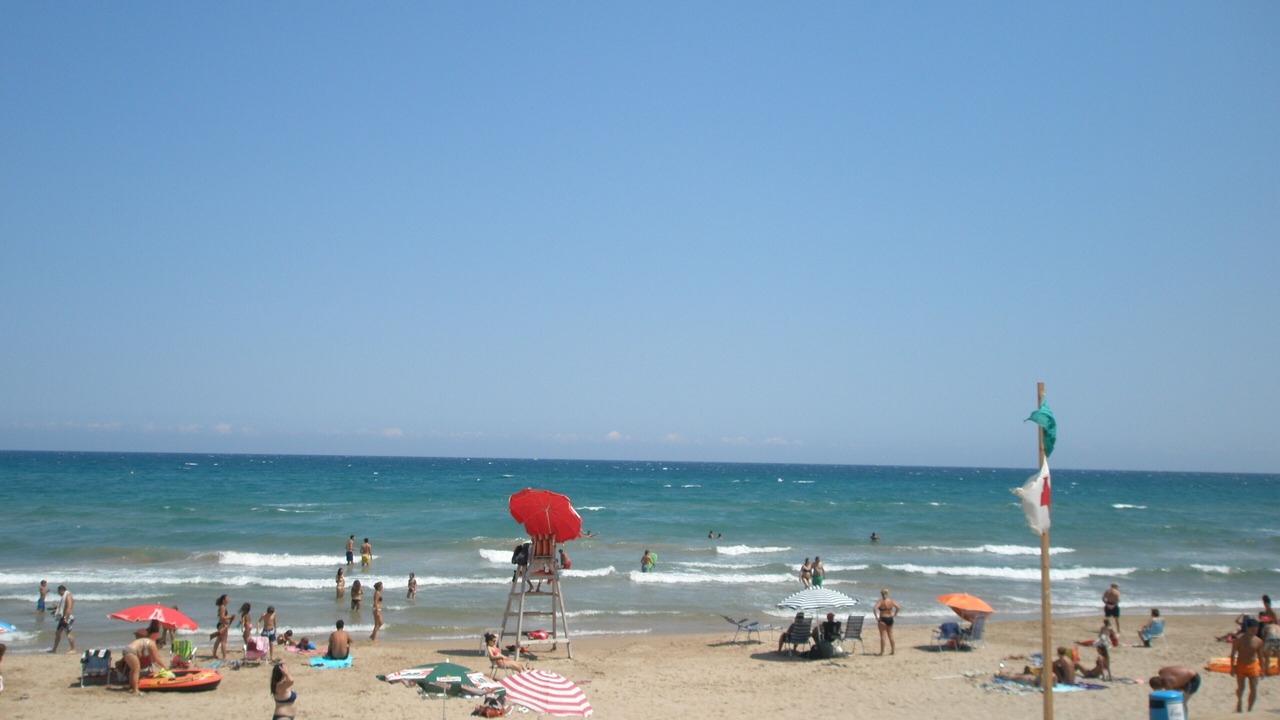 Photo of Others in Oliva