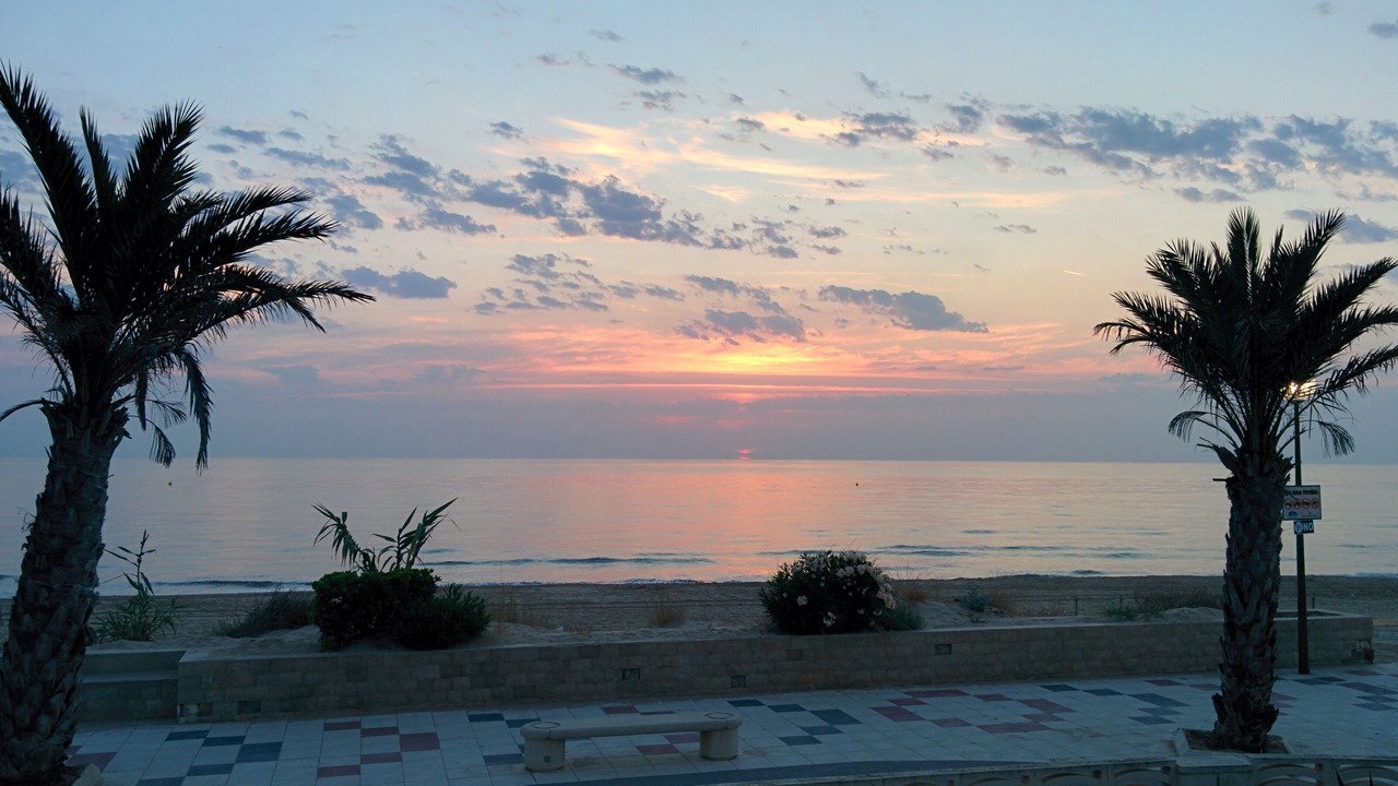 Photo of Others in Oliva