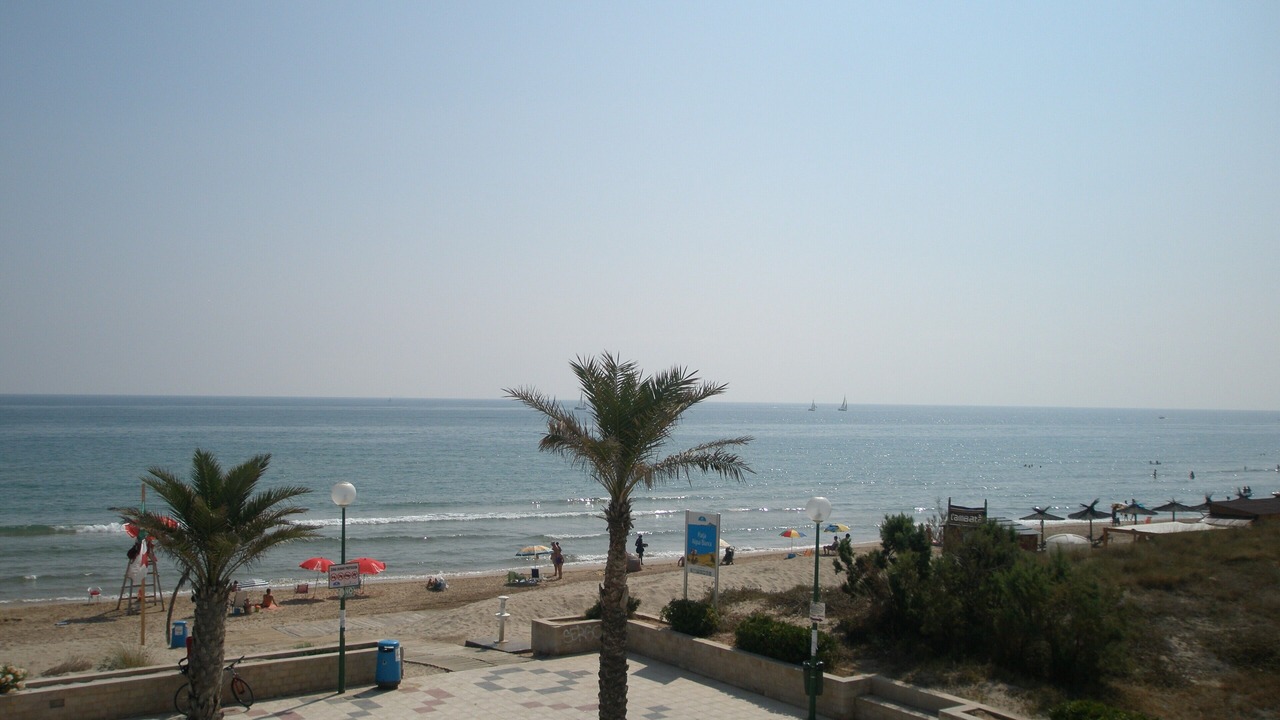 Photo of Others in Oliva