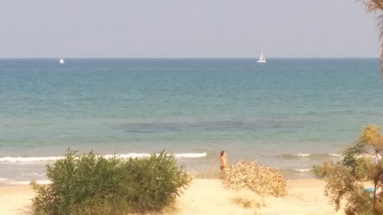 Photo of Others in Oliva