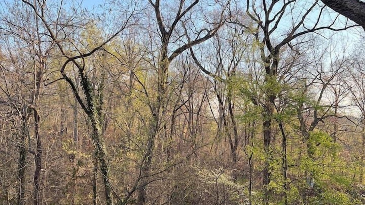 Photo of Others in Lynn