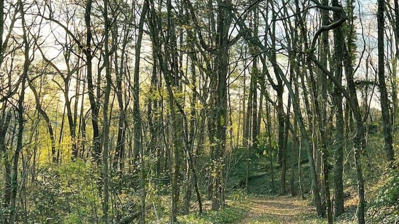 Photo of Outdoor in Lynn