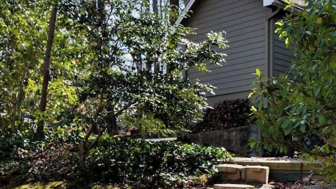 Photo of Others in Lynn