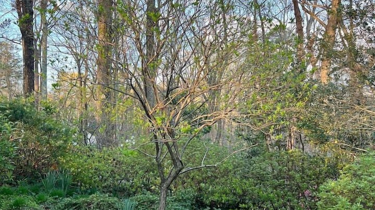 Photo of Outdoor in Lynn