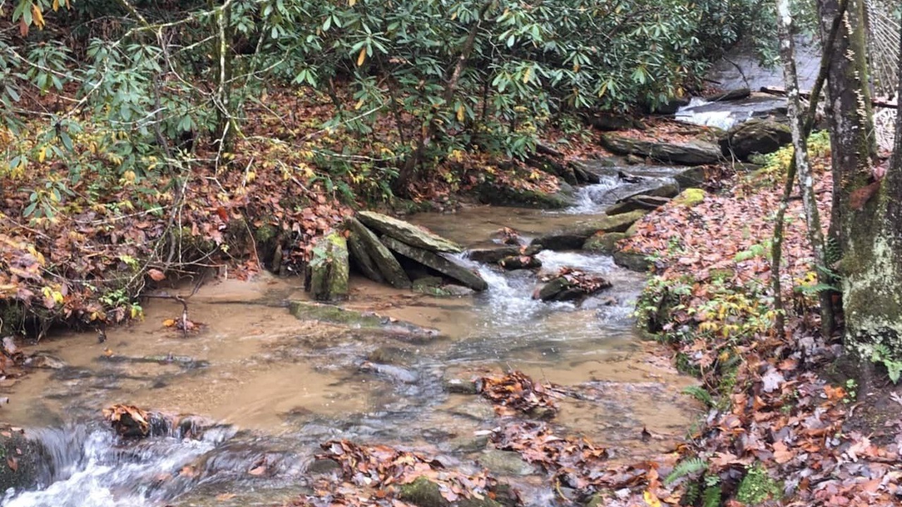 Photo of Others in Hendersonville