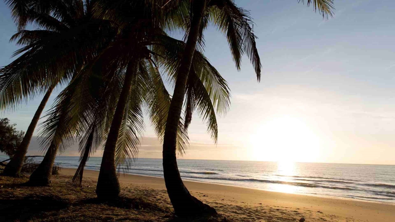 Photo of Others in Mowbray