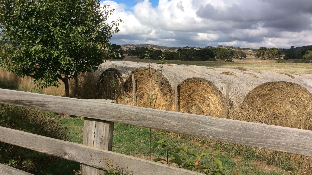 Photo of Outdoor in Limonite