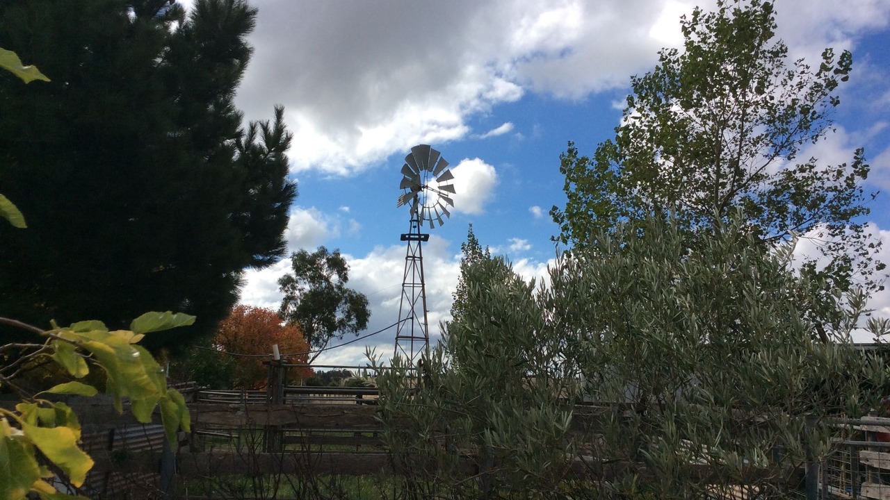 Photo of Outdoor in Limonite