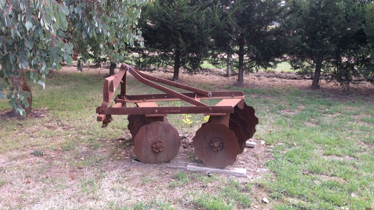 Photo of Outdoor in Limonite