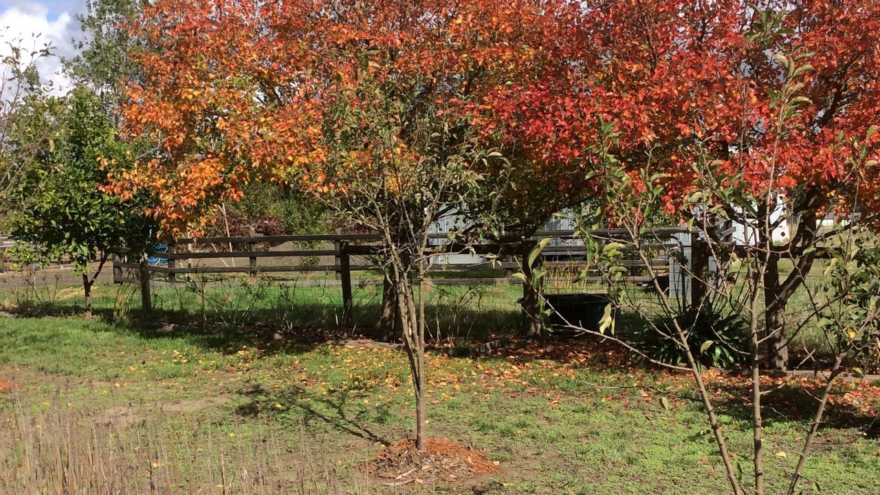 Photo of Outdoor in Limonite