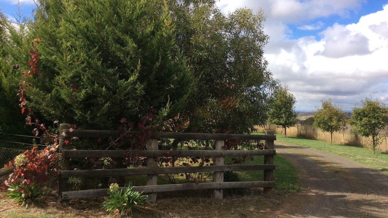 Photo of Outdoor in Limonite