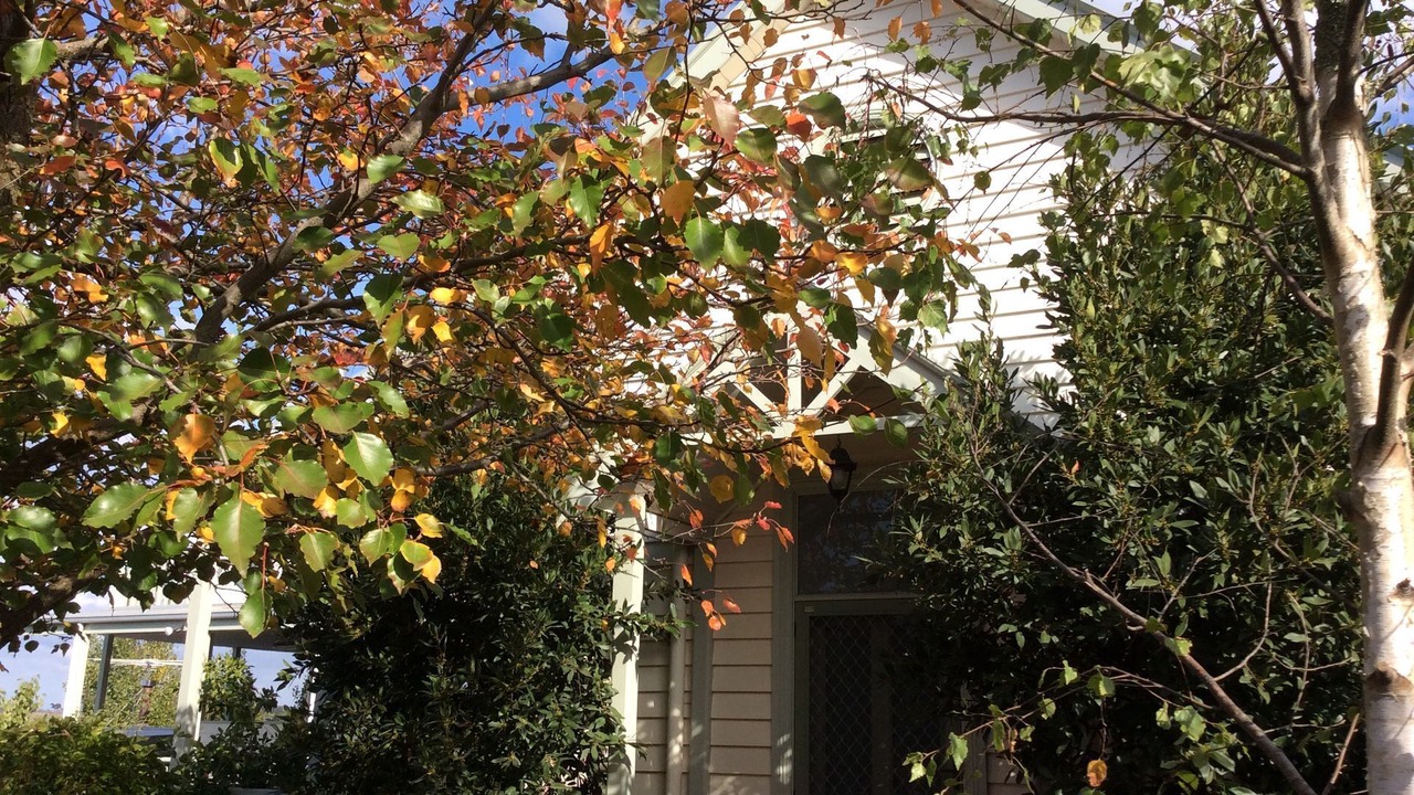 Photo of Outdoor in Limonite