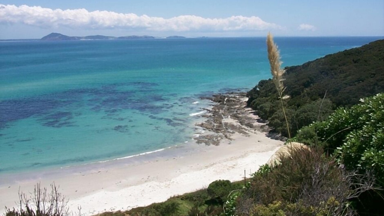 Photo of Others in Karkari Peninsula