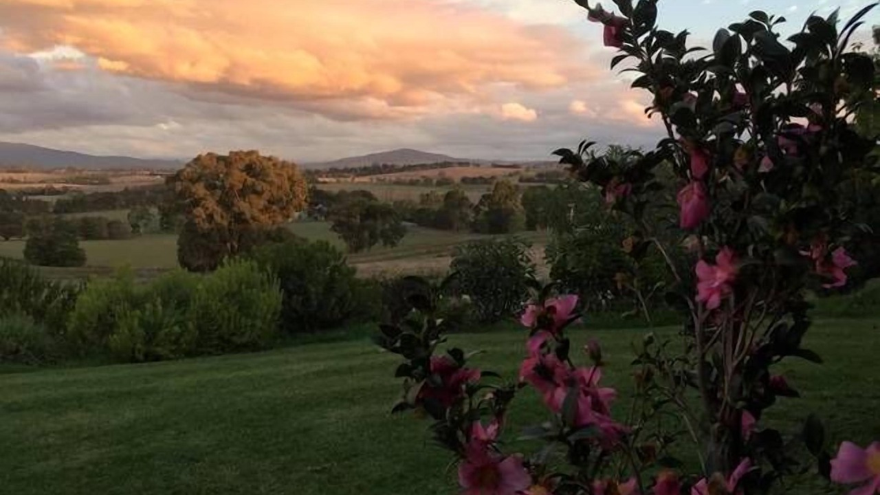 Photo of Others in Dixons Creek