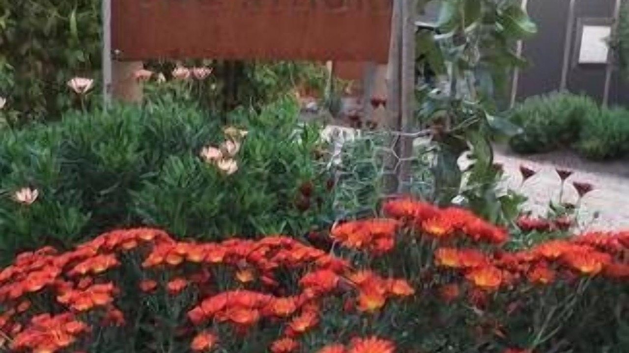 Photo of Others in Dixons Creek