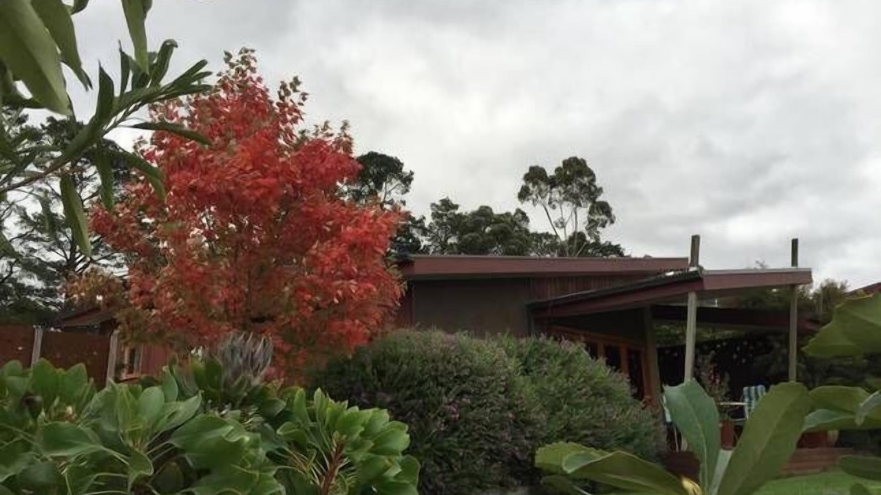 Photo of Others in Dixons Creek