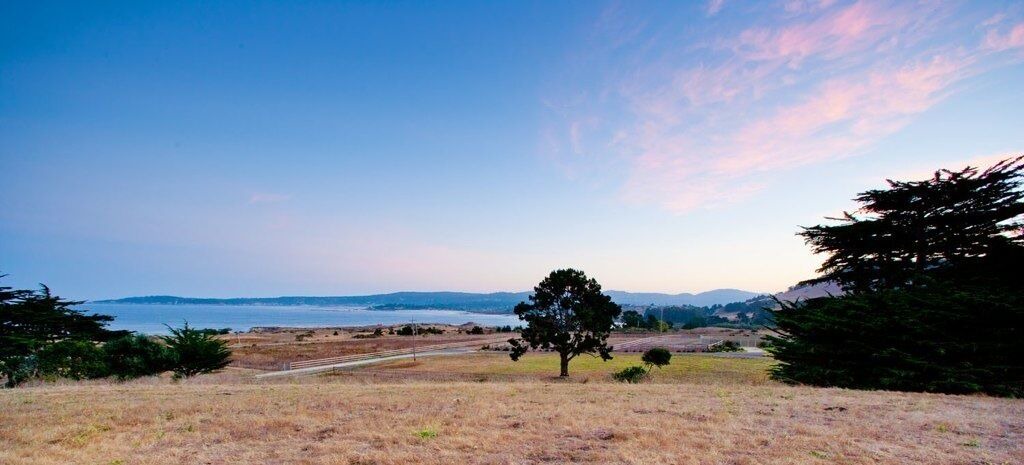 Photo of Others in Carmel