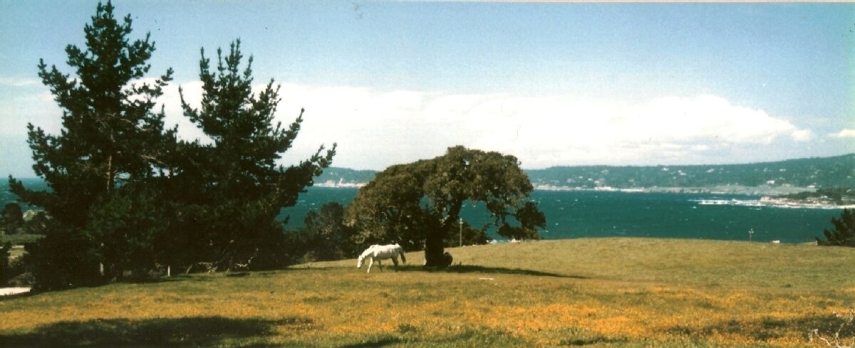 Photo of Others in Carmel