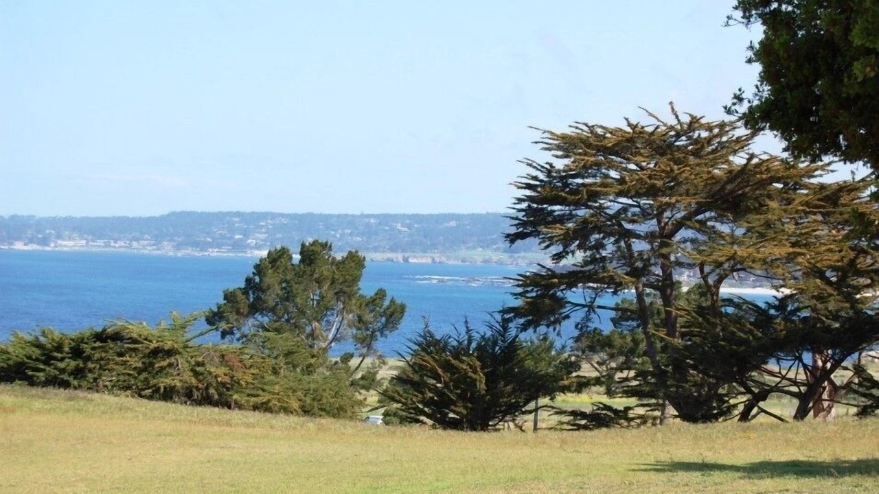 Photo of Others in Carmel