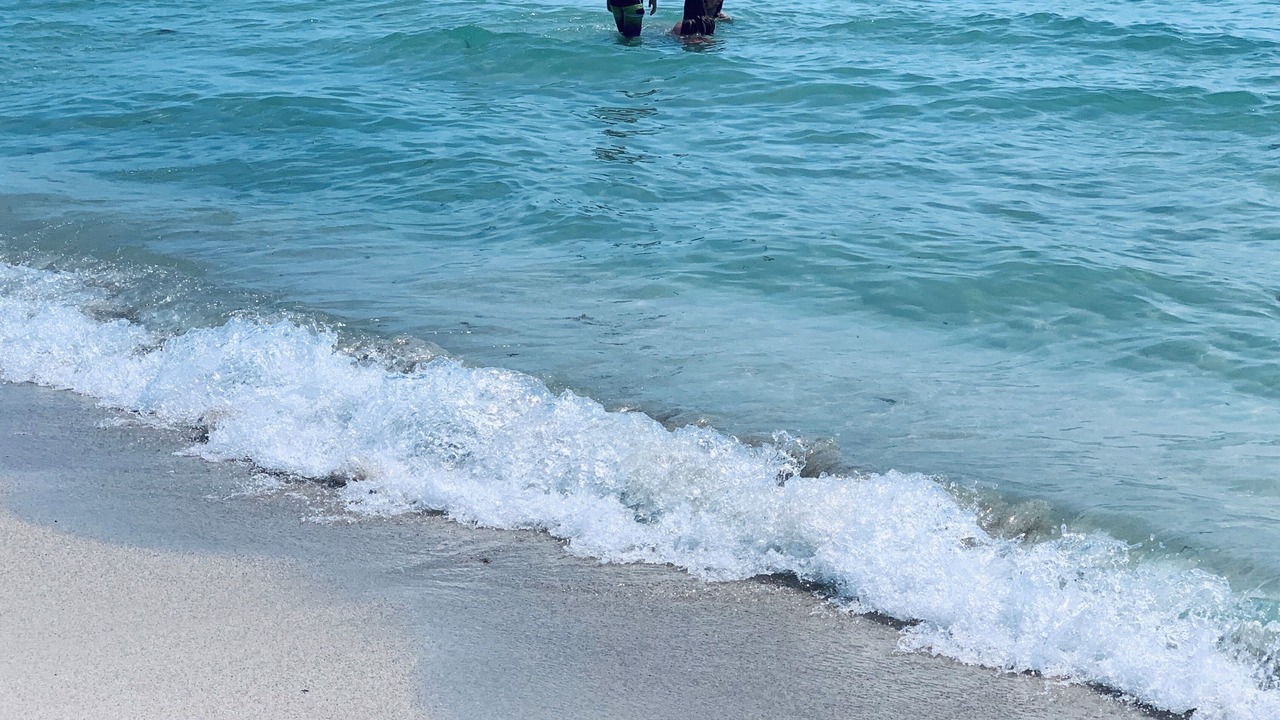 Photo of Others in Flamingo/Lummus