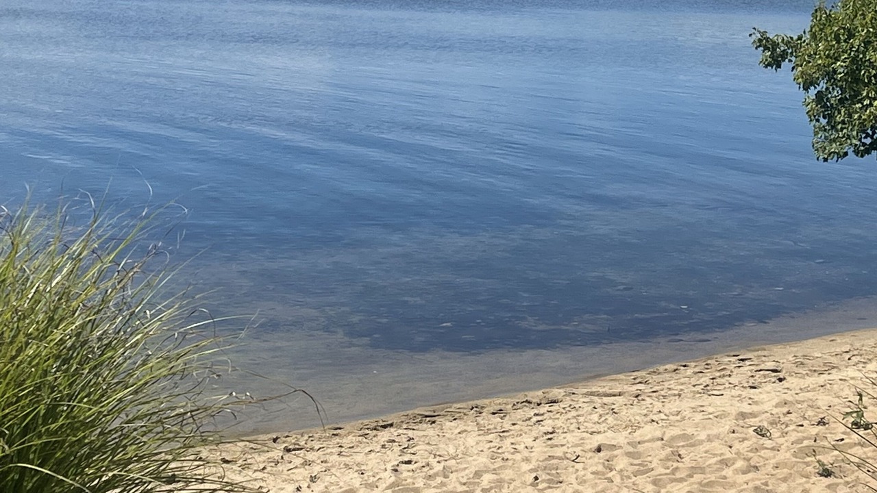 Photo of Outdoor in Northwest Harwich