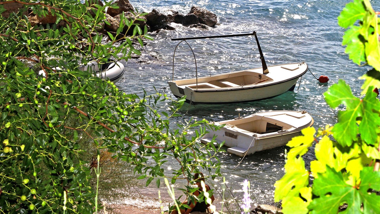 Photo of Others in Marusici