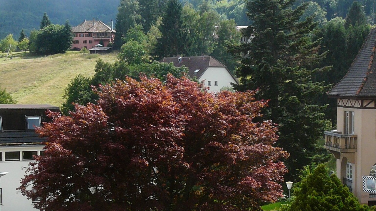 Photo of Outdoor in Le Hohwald