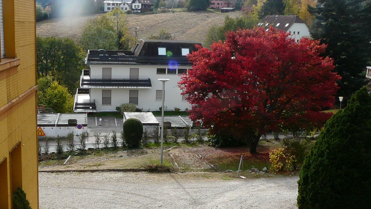 Photo of Outdoor in Le Hohwald