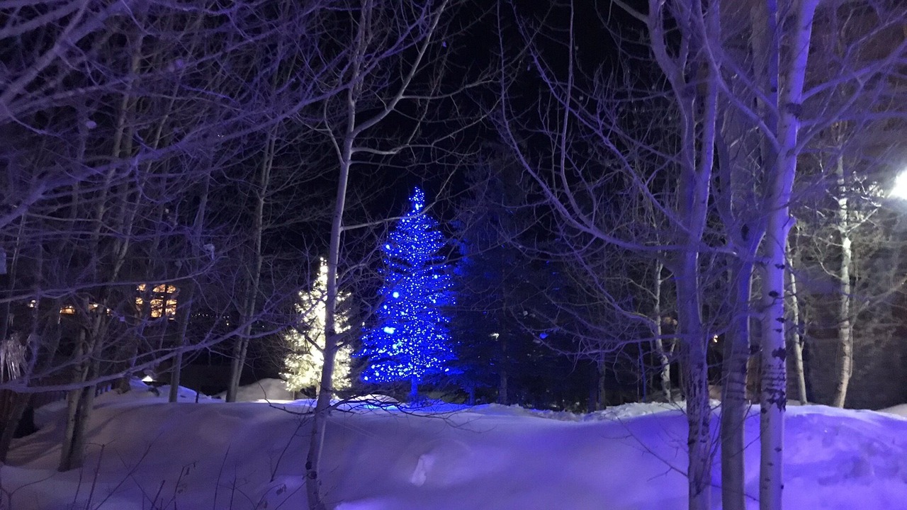 Photo of Outdoor in Salt Lake Mountain Resorts