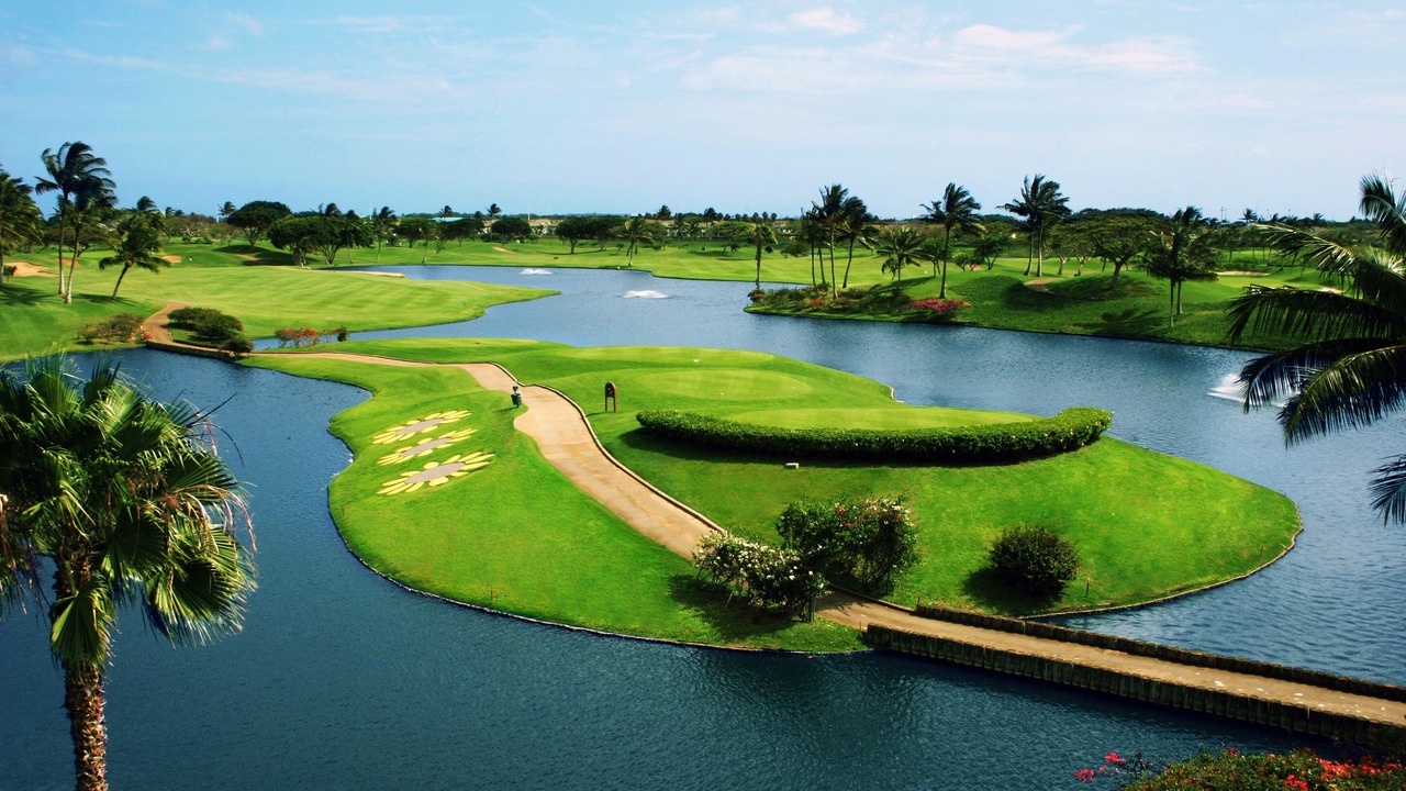 Photo of Others in Makakilo City