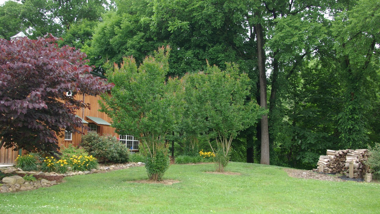 Photo of Others in Johnson City