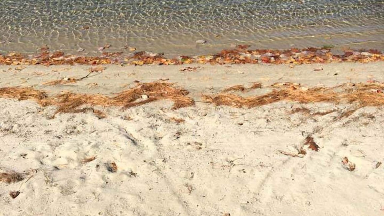 Photo of Others in Wakefield