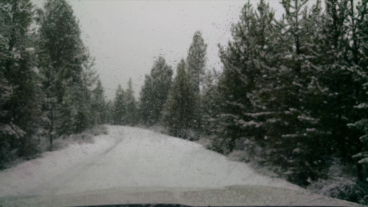 Photo of Outdoor in La Pine