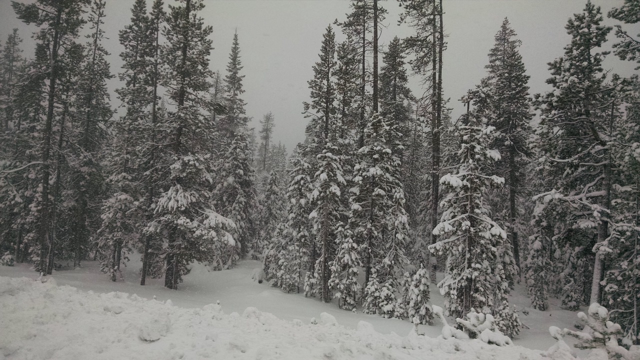 Photo of Others in La Pine
