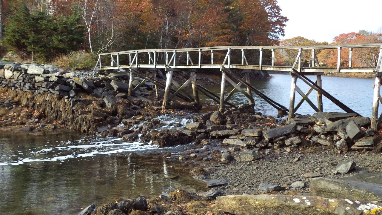 Photo of Others in Pemaquid Point