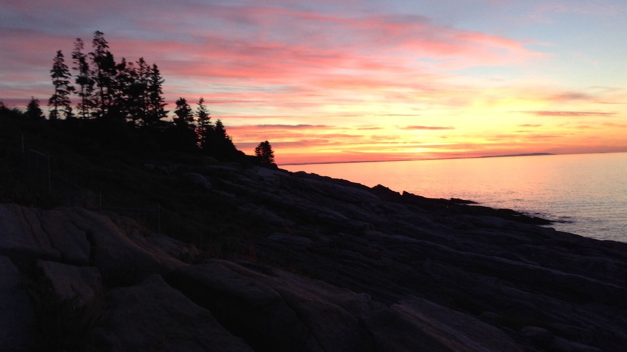 Photo of Others in Pemaquid Point
