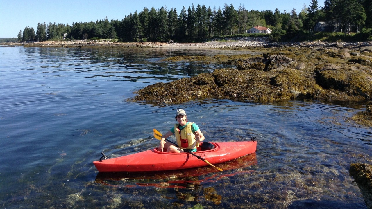 Photo of Others in Pemaquid Point
