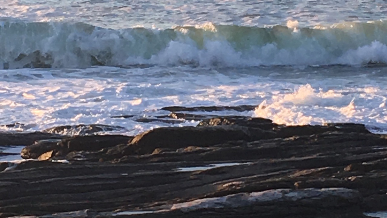 Photo of Others in Pemaquid Point