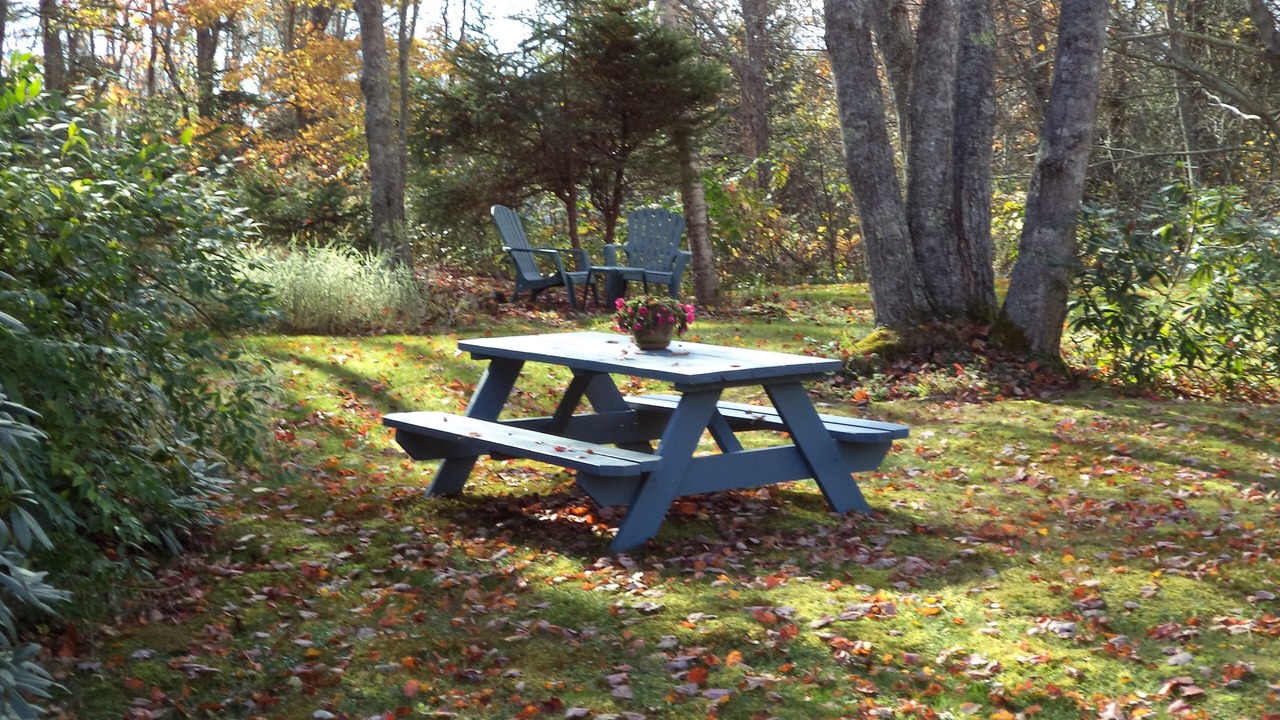 Photo of Others in Pemaquid Point