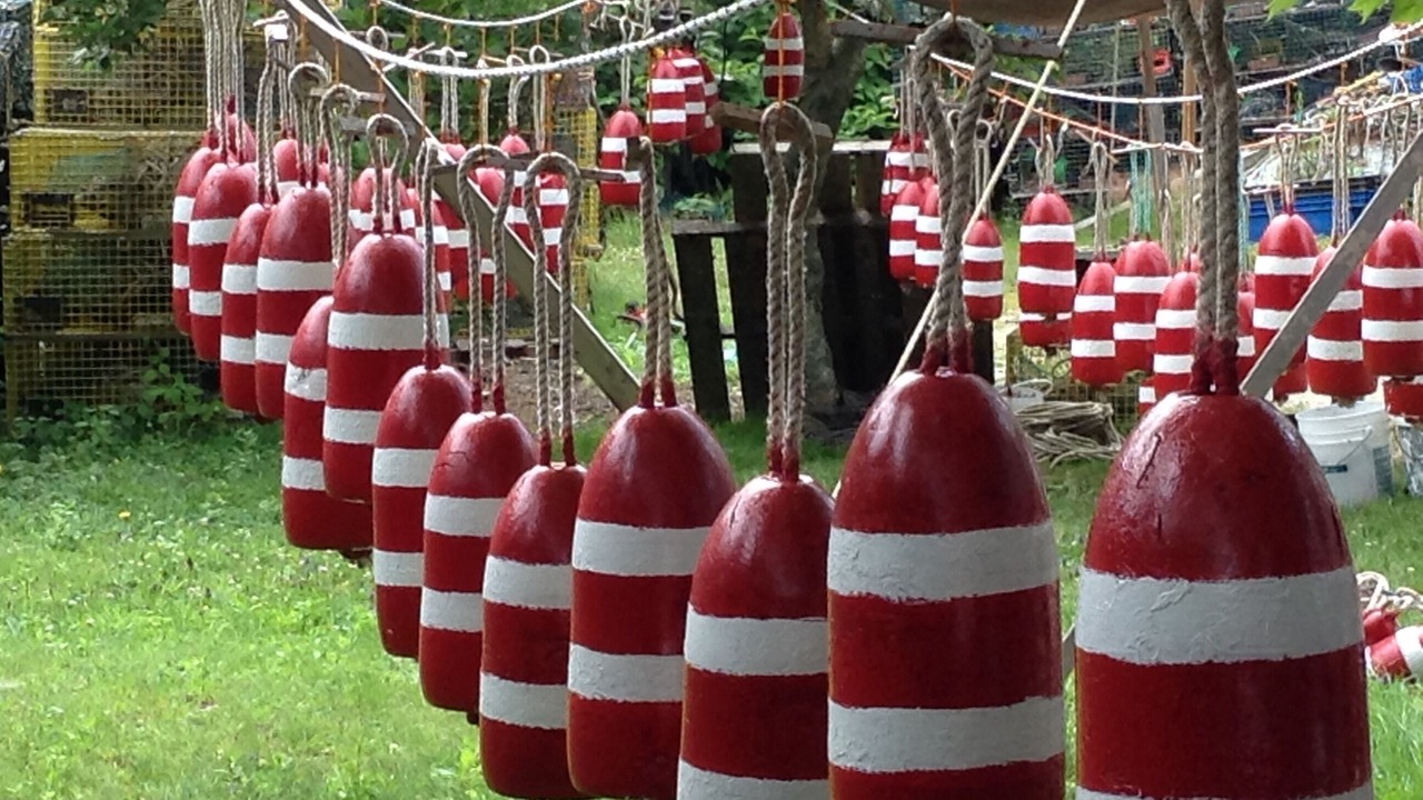 Photo of Others in Pemaquid Point