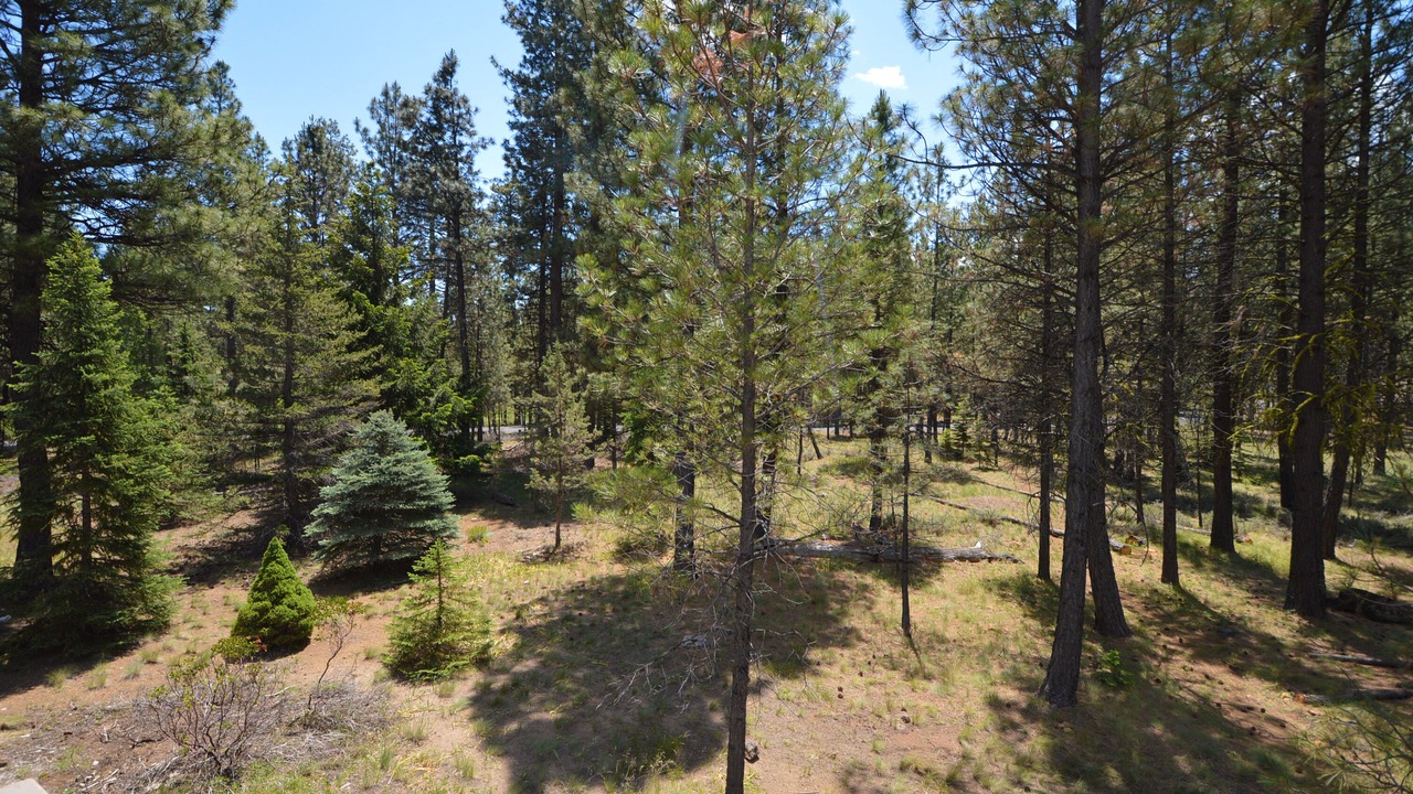 Photo of Others in Black Butte Ranch