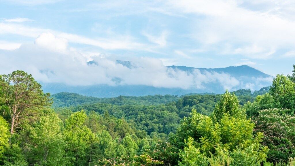 Photo of Others in Gatlinburg