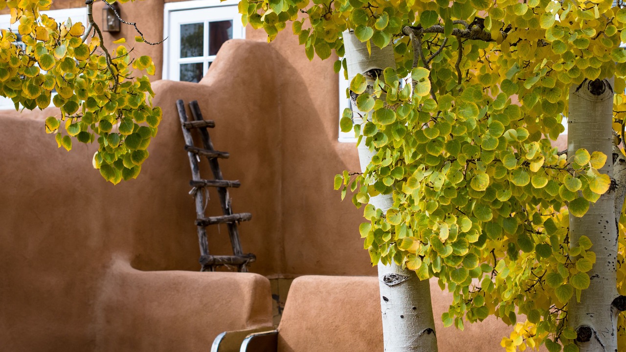 Photo of Outdoor in Northeast Santa Fe