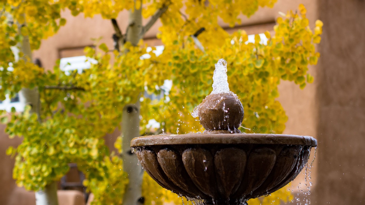 Photo of Outdoor in Northeast Santa Fe