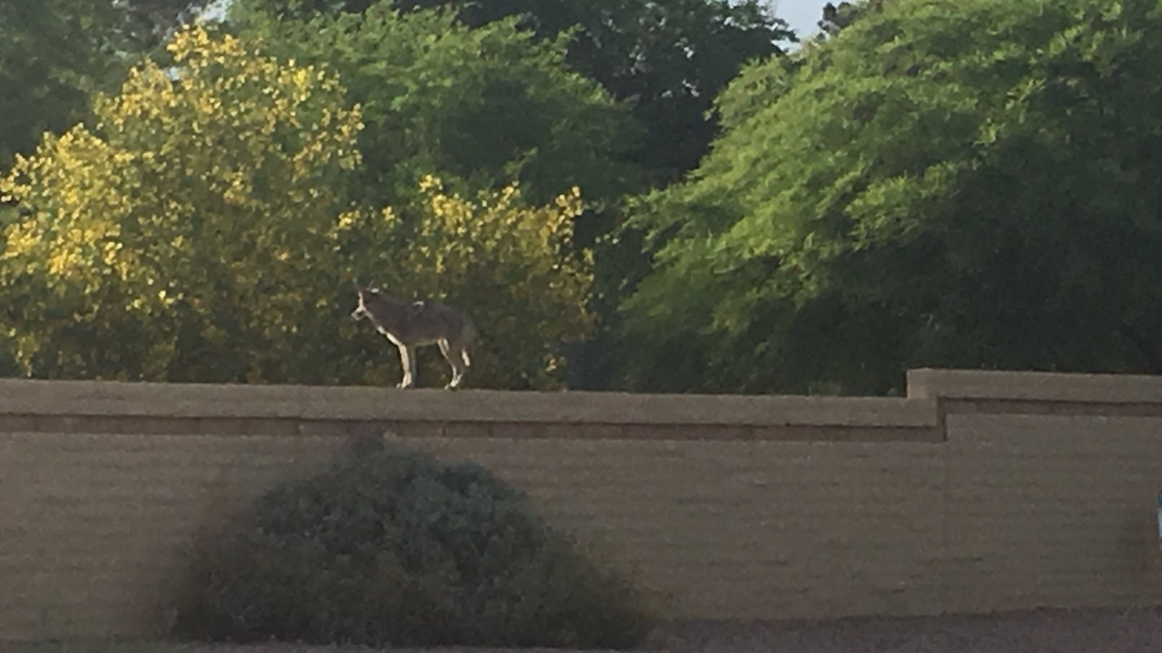 Photo of Others in Scottsdale Ranch