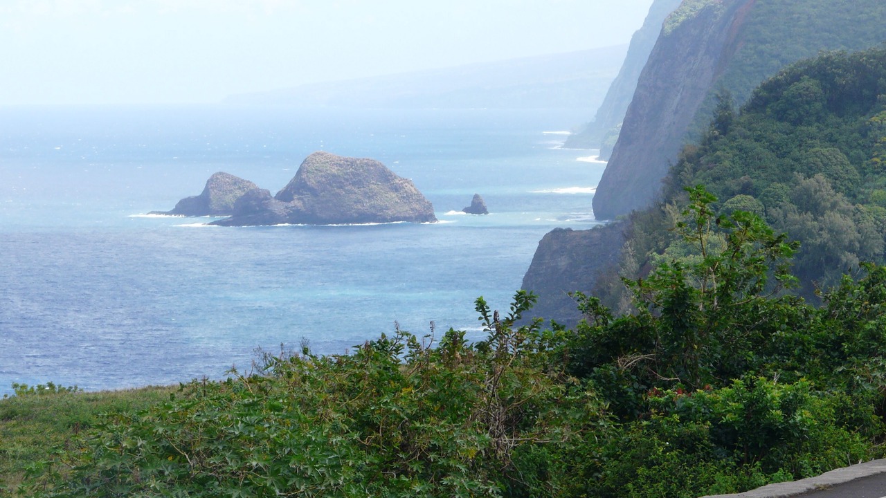 Photo of Others in Kailua-Kona
