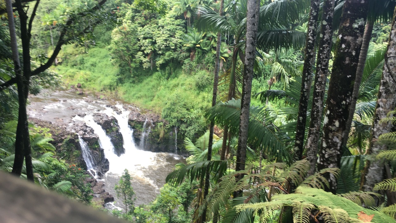 Photo of Others in Kailua-Kona