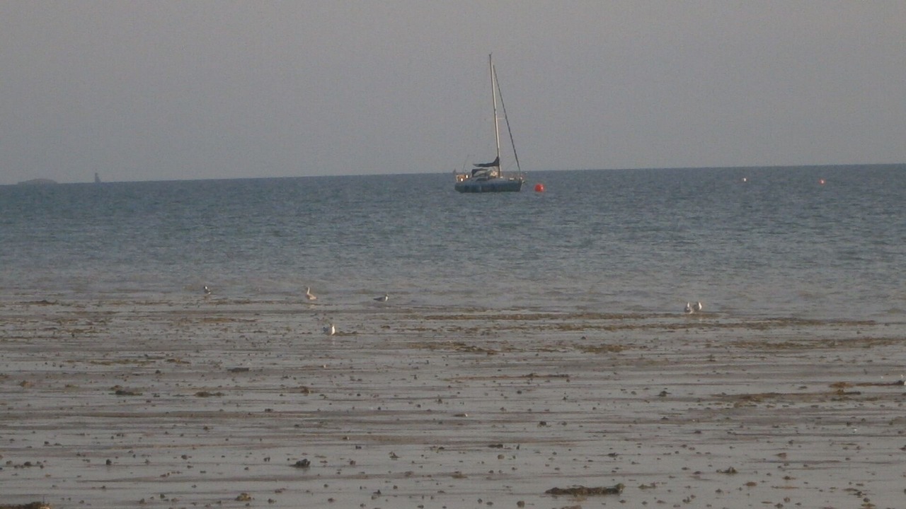 Photo of Others in Saint-Martin de Brehal