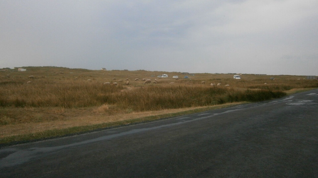 Photo of Others in Saint-Martin de Brehal